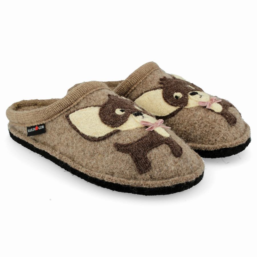Haflinger Chihuahua Novelty Hausschuhe Herren Braun | KHP8030ZR