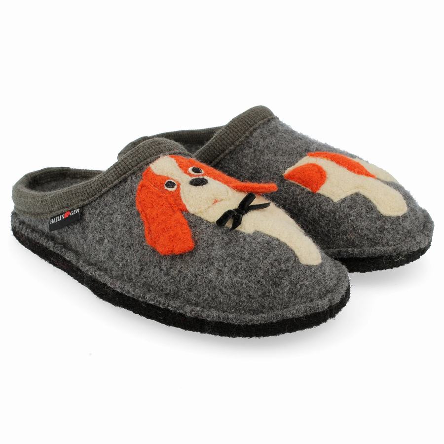 Haflinger Spaniel Novelty Hausschuhe Damen Grau | GFD7361HC